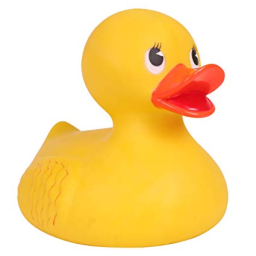 I literally used this duck image for debugging